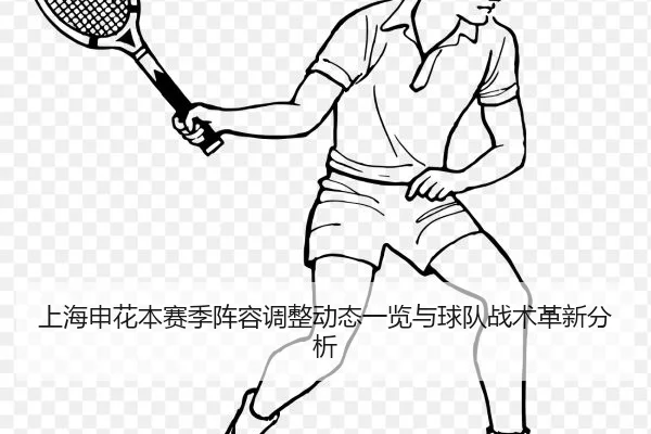 上海申花本赛季阵容调整动态一览与球队战术革新分析
